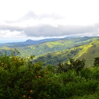 Traveling Foodie: Monteverde & Santa Teresa, Costa Rica